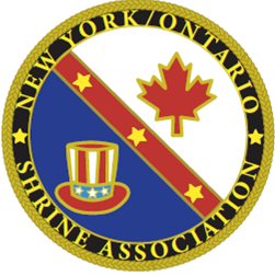 NYOSA coin logo